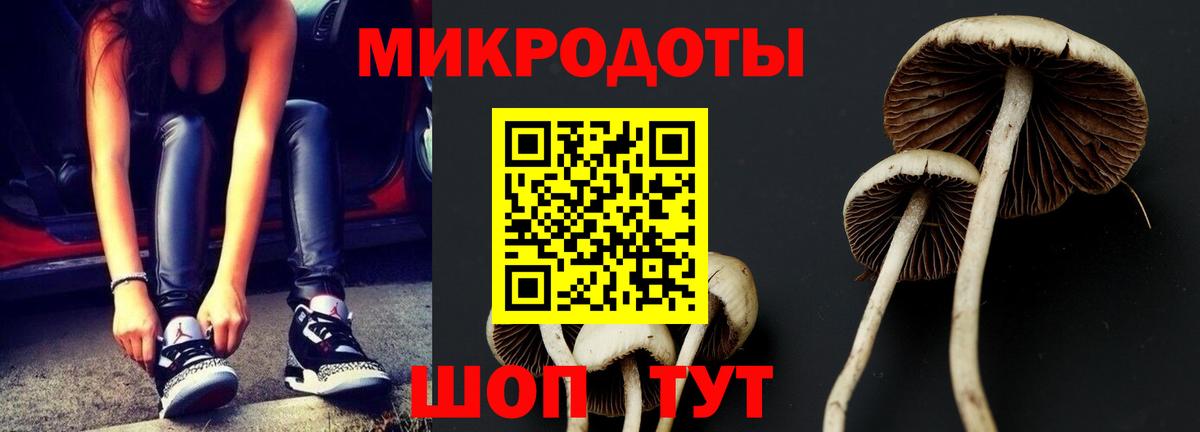Псилоцибиновые грибы Psilocybe  Галлюциногенные грибы GOLDEN TEACHER  Кудымкар  Вход с VPN 